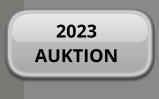 2023 AUKTION