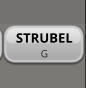 STRUBEL   G